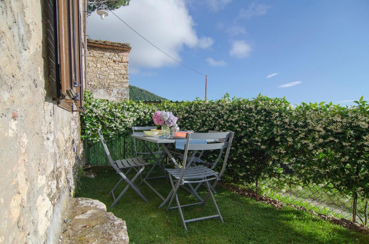 Villa Casa Gelsomino Camaiore Exterior foto